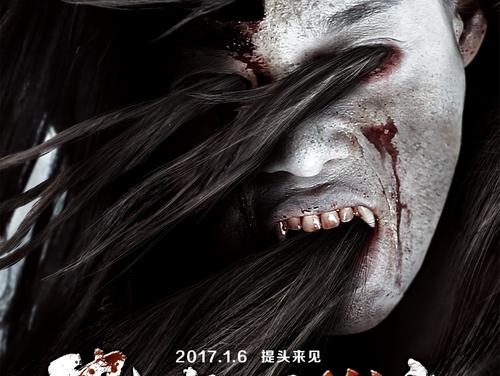 真实护照怎么买到